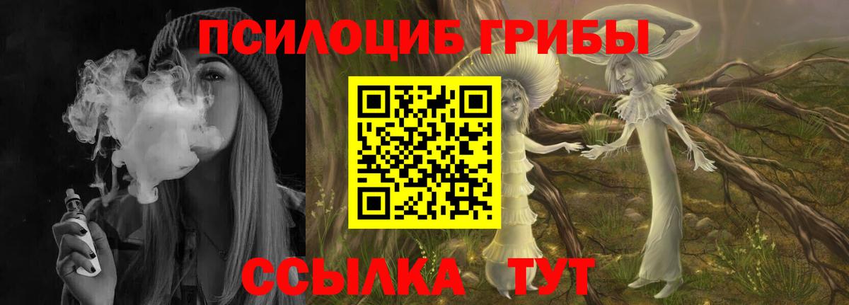 Псилоцибиновые грибы Magic Shrooms  Вход с VPN  Тайшет 
